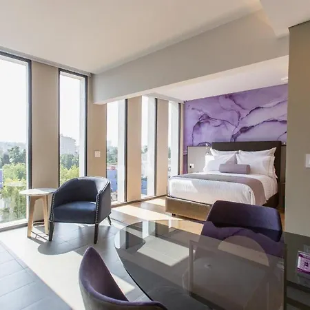 Hs Hotsson Condesa Sur
