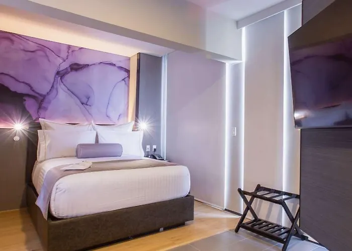 Hs Hotsson Condesa Sur